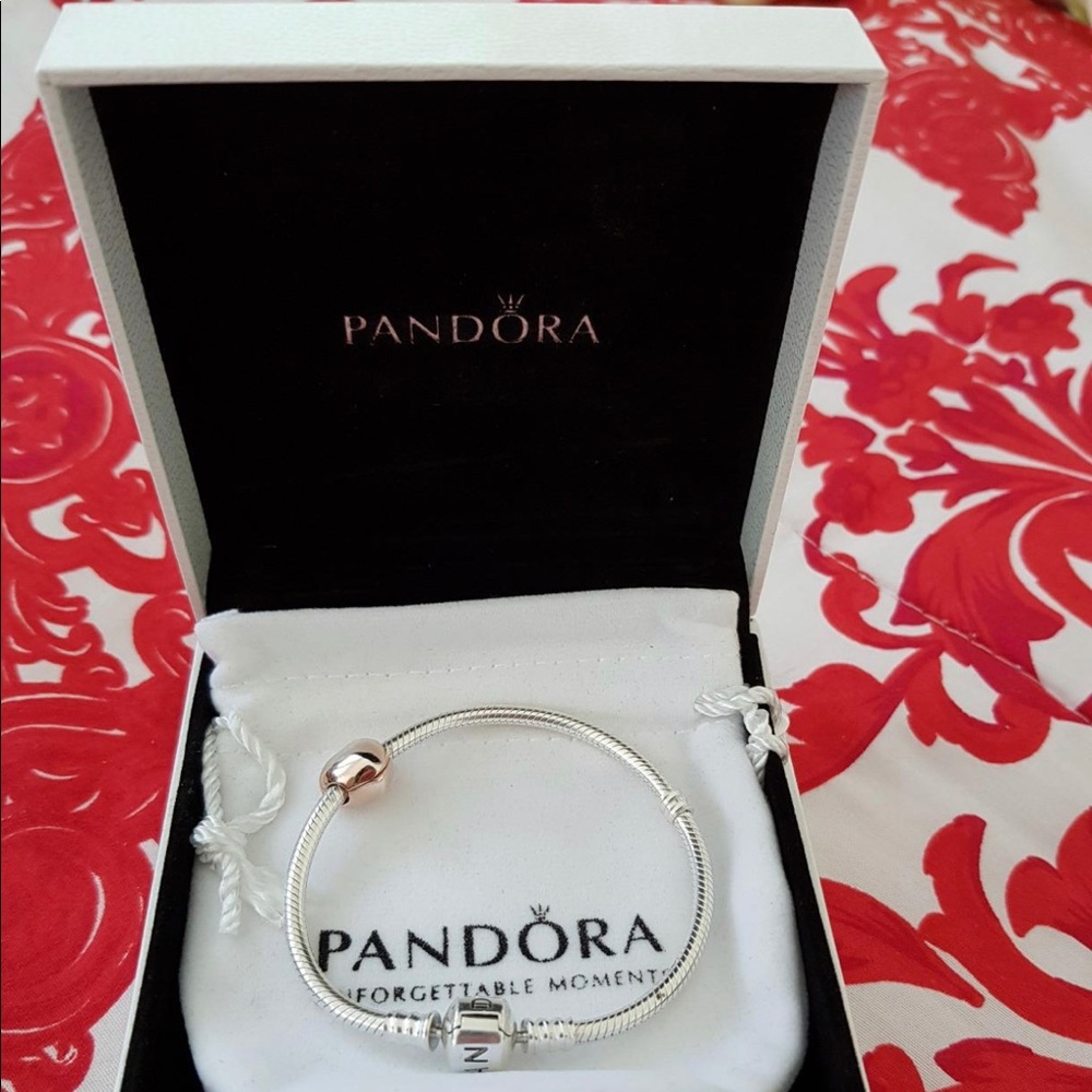 NWT Pandora Snake Chain Charm Sterling Silver Bracelet, MULTIPLE SIZES